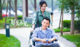 电视剧好久不见,时光流转，爱恨交织的都市情感之旅