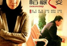 我的糟糠之妻电视剧,风雨同舟，共度人生冷暖