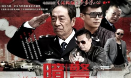 暗警电视剧,潜伏与救赎的生死较量