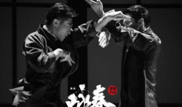 深圳人电视剧,梦想与奋斗的都市传奇