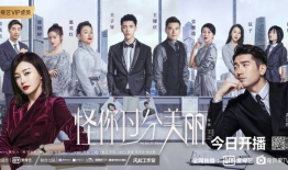 电视剧爱奇艺,穿越时空的浪漫邂逅