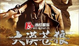 电视剧苍狼,铁血雄心，烽火岁月的传奇征程