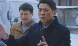干部 电视剧,揭秘官场风云，展现时代变迁