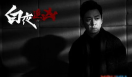白夜追凶电视剧免费观看,揭秘双胞胎兄弟的黑白世界！