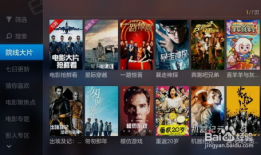 18直播系统91电影,揭秘热门娱乐平台的魅力所在