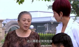 电视剧麻辣芳邻全集,邻里情缘，麻辣生活全景画卷