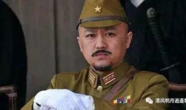 电视剧红色演员表,实力派明星齐聚演绎革命传奇