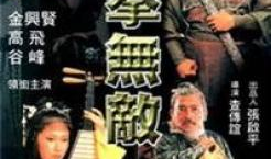 醉拳电视剧,拳影江湖，醉舞风云