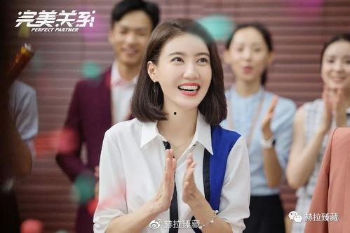 完美  电视剧,探寻人生百态，演绎情感纠葛